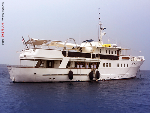 pelagian - liveaboard
